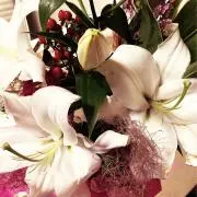 まにゃ