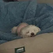 진유の画像
