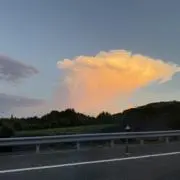 れんの画像