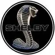 shelby175