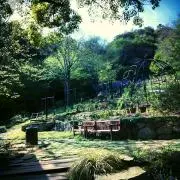 Kの画像