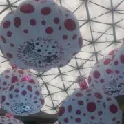 tomopoの画像