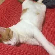 Yuka