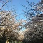 ファミちゃんの画像