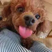 ふうさん★プロフご確認ください★の画像
