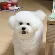 モコモコ