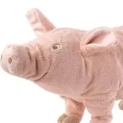 おっちの画像