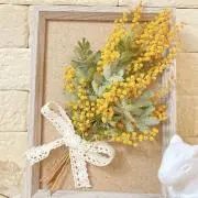 marimo＊ご希望価格教えて下さい✨