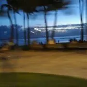 ダルポの画像