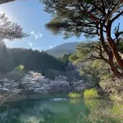 567の画像