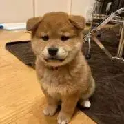 m.bros.yhの画像
