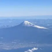 むじ