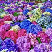 Rose pinkの画像