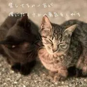祐也