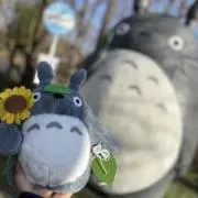 ごんの画像