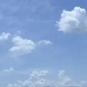 りんごの画像