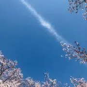 kaporaの画像