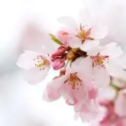 やまちゃんの画像