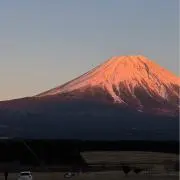 スミの画像