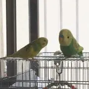 ゆーの画像