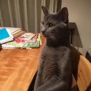 lalaの画像