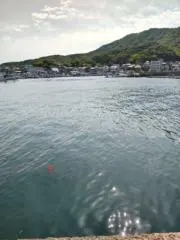 獅子戦吼の画像