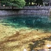 きゅーちゃんの画像