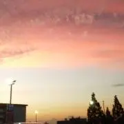 いちごいちえの画像