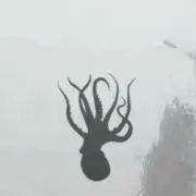 ひつぎ
