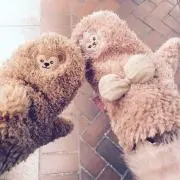 セール中★即購入◎即日、匿名発送の画像