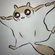 ⭐️kazuuuの画像