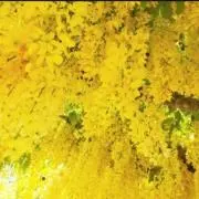 そらつき☆の画像