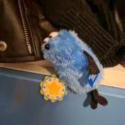 ragiの画像