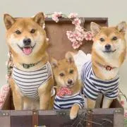 n.s.t_48の画像