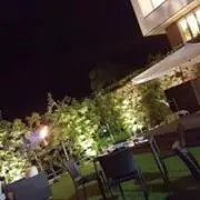 アロアロの画像
