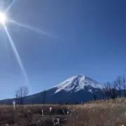 ポンちゃんの画像