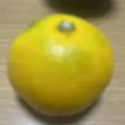 tontonの画像