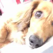 むうの画像