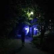 きょんきょん
