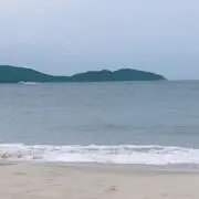 ゆず