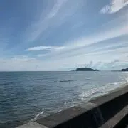 パープルの画像