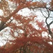 mitsuruの画像