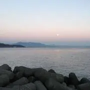 黒雛