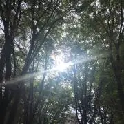 ponchanの画像