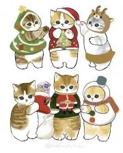 ホシの画像