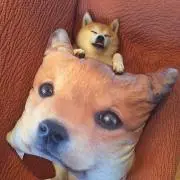 ゆーき