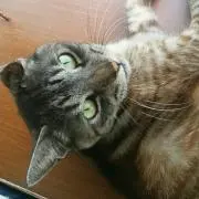 juriの画像