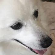 メールカリ⭐️☆o(≧▽≦)o☆⭐️の画像