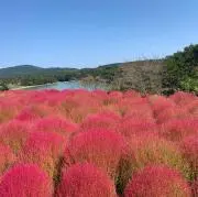 ゆき