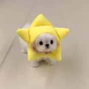 ㅇの画像